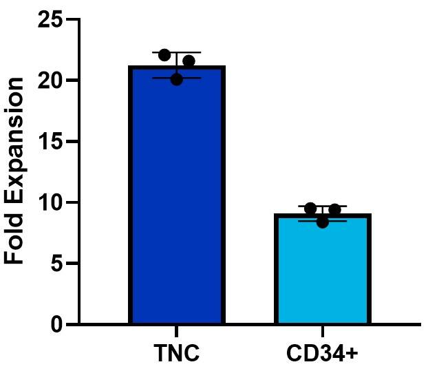 CD34+ cells purified from plerixafor-mobilized peripheral blood were cultured in commercially available media. The media was supplemented with SCF (BT-SCF-GMP, 100 ng/mL), TPO (BT-TPO-GMP, 100 ng/mL), FLT-3L (BT-FT3L-GMP, 100 ng/mL), and SR1 (Catalog # 7086, 1 µM). After 7 days, fold expansion was calculated from total viable cell counts. Cell viability on Day 7 was greater than 95% for all conditions. Frequency (%) CD34+ cells was analyzed by flow cytometry on Day 0 and Day 7 with an anti-human CD34 monoclonal antibody (Catalog # MAB7227). CD34+ cell expansion was calculated by multiplying total nucleated cell (TNC) fold expansion by the CD34+ percentage. The average fold expansion of n=3 technical replicates is shown.