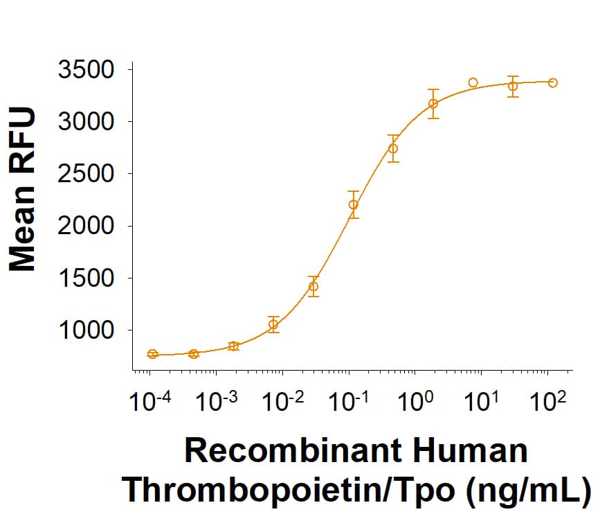 Recombinant Human Thrombopoietin/Tpo (Catalog # BT-TPO) stimulates proliferation in the MO7e human megakaryocytic leukemic cell line. The ED50 for this effect is 0.0500‑0.500 ng/mL.