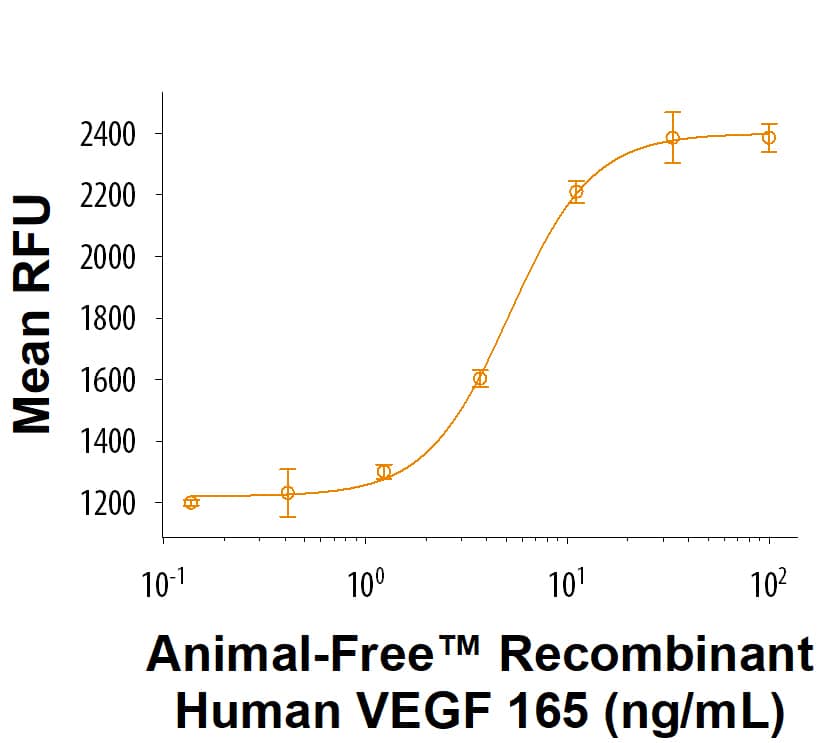 Animal-Free™ Recombinant Human VEGF 165 (Catalog # BT-VEGF-AFL) stimulates proliferation in HUVEC human umbilical vein endothelial cells. The ED50 for this effect is 1.50-12.0 ng/mL.