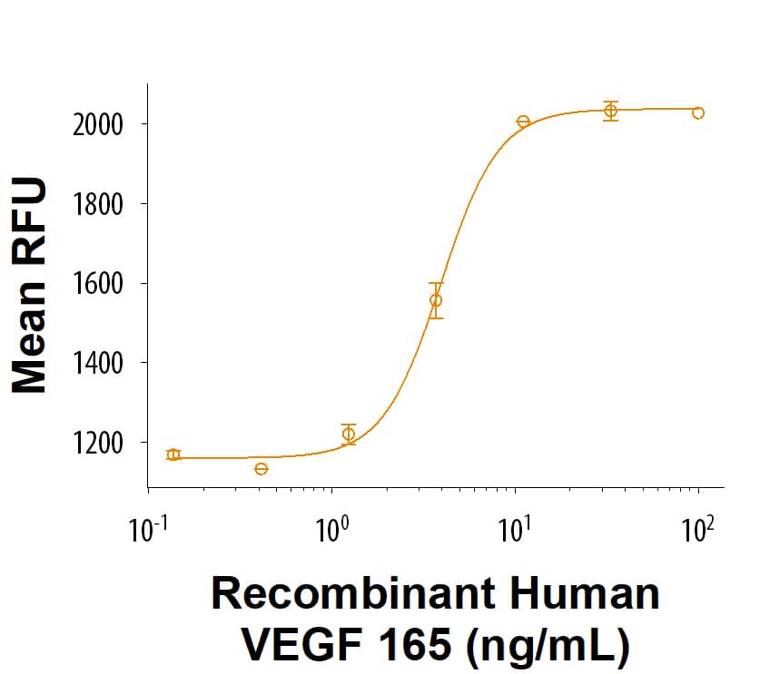 Recombinant Human VEGF 165 Protein (Catalog # BT-VEGF) stimulates proliferation in HUVEC human umbilical vein endothelial cells. The ED50 for this effect is 1.50-12.0 ng/mL.