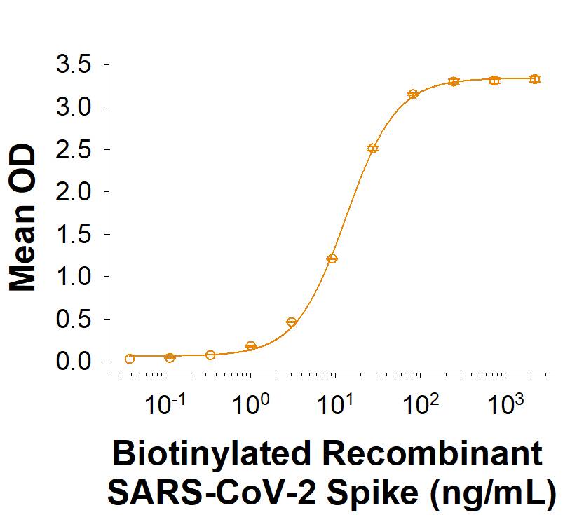 Biotinylated Recombinant SARS-CoV-2 Spike His-tag (Catalog # BT10549) binds Recombinant Human ACE-2 Fc Chimera (10544-ZN) in a functional ELISA.