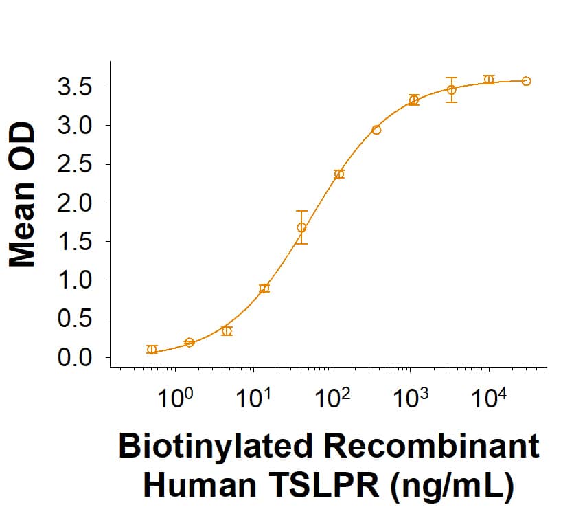 Biotinylated Recombinant Human TSLPR His-tag Protein (Catalog # BT10843) binds Recombinant Human TSLP (1398-TS/CF) with an ED50 of 25.0-300 ng/mL.