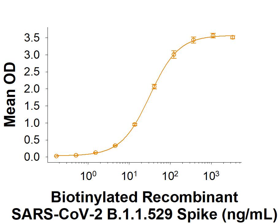 Biotinylated Recombinant SARS-CoV-2 B.1.1.529 Spike His-tag Protein (Catalog # BT11060) binds Recombinant Human ACE-2 Fc Chimera (10544-ZN) in a functional ELISA.
