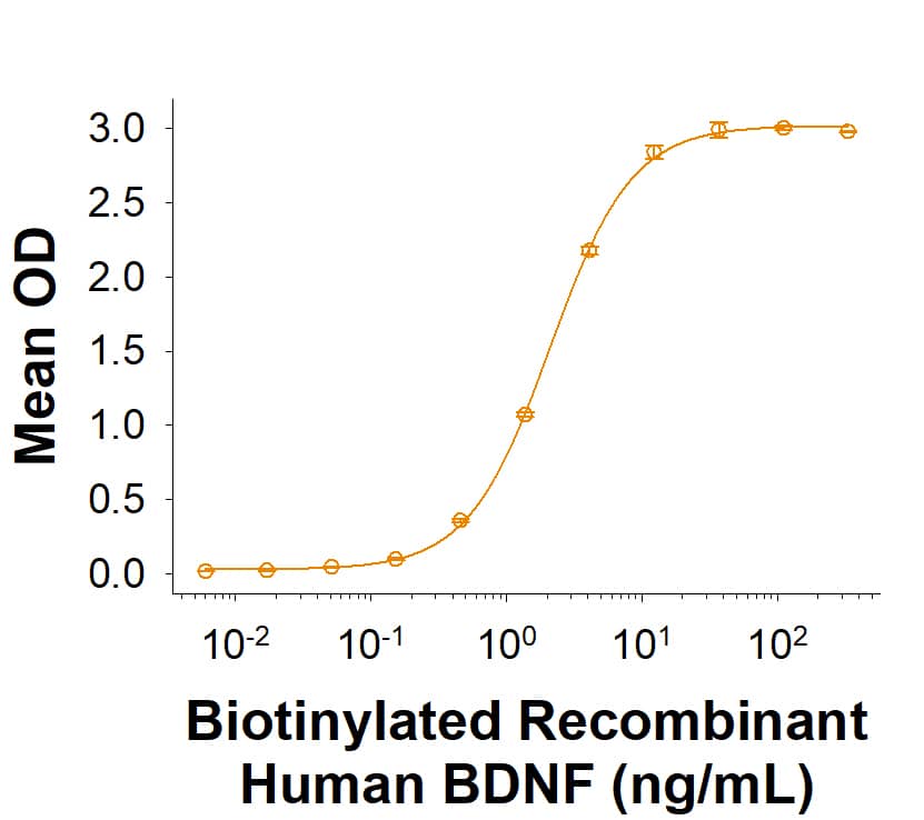 Measured by its binding ability in a functional ELISA. When Recombinant Human TrkB Fc Chimera (688-TK) is immobilized at 0.5 μg/mL (100 μL/well), Biotinylated Recombinant Human BDNF Protein (Catalog # BT11166) binds with an ED50 of 1.00-10.0 ng/mL