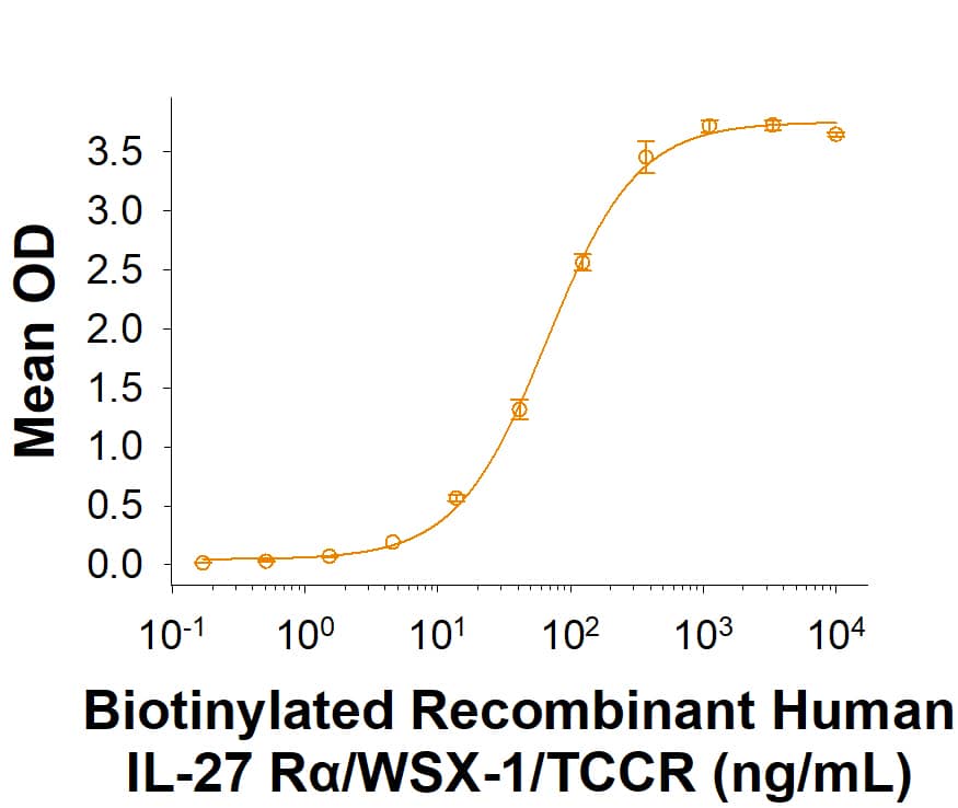 Biotinylated Recombinant Human IL-27 R alpha /WSX-1/TCCR Fc Chimera Protein (Catalog # BT1479) binds Recombinant Human IL-27 (2526-IL/CF) with an ED50 of 12.0‑160 ng/mL.