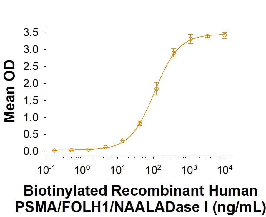 Biotinylated Recombinant Human PSMA/FOLH1/      NAALADase I Protein (Catalog # BT4234) binds Human PSMA/FOLH1/NAALADase I Antibody (MAB4234) with an ED50 of 50.0-600 ng/mL.