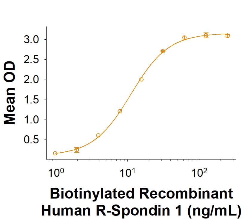 When Recombinant Human Lgr5/GPR49 Fc Chimera (8078-GP) is immobilized at 2 µg/mL (100 µL/well), Biotinylated Recombinant Human R-Spondin 1 Protein (Catalog # BT4645B) binds with an ED50 of 4.50-54.0 ng/mL.