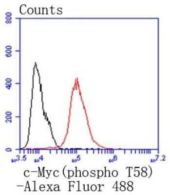 Flow Cytometry: c-Myc [p Thr58] Antibody (SN60-01) [NBP2-67660] - Analysis of MCF-7 cells with phospho-c-Myc(T58) antibody at 1/50 dilution (red) compared with an unlabelled control (cells without incubation with primary antibody; black). Alexa Fluor 488-conjugated goat anti rabbit IgG was used as the secondary antibody