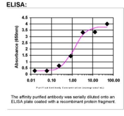 ELISA: cIAP-2/HIAP-1 Antibody [29700002]