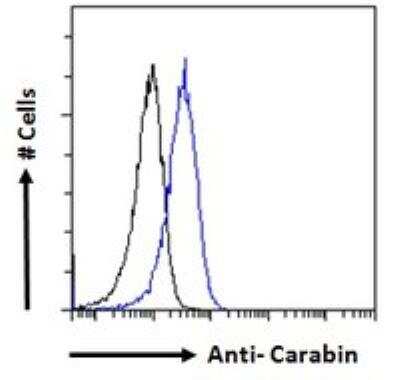 Flow Cytometry: carabin Antibody [NBP2-76349] - Paraformaldehyde fixed Jurkat cells (blue line), permeabilized with 0.5% Triton. Primary incubation 1hr (10 ug/mL) followed by Alexa Fluor 488 secondary antibody (1 ug/mL). IgG control: Unimmunized goat IgG (black line) followed by Alexa Fluor 488 secondary antibody.