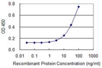 Sandwich ELISA: cleavage stimulation factor Antibody (1C6) [H00001477-M01] - Detection limit for recombinant GST tagged CSTF1 is 1 ng/ml as a capture antibody.