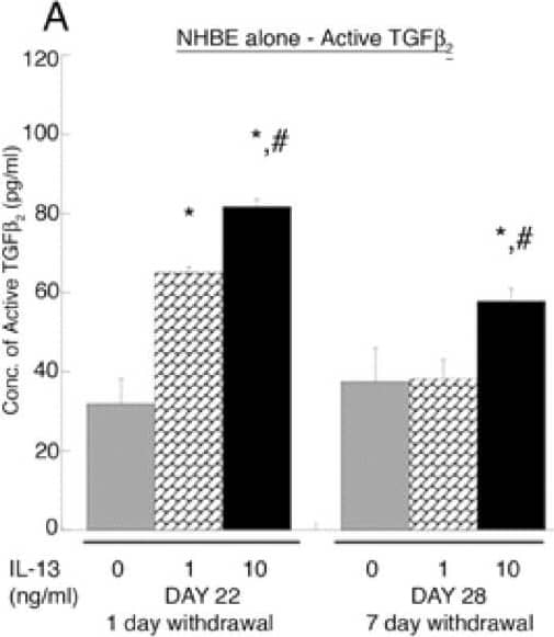 ELISA for active and total TGF-beta 2 in the media (A, B). At day 22, the concentration of active and total TGF-beta 2 in the media of IL-13 pre-treated NHBE at 1 and 10 ng/ml is significantly higher as compared to untreated NHBE (0 ng/ml of IL-13) media; * p < 0.01. At day 22 and day 28, the concentration of active TGF-beta 2 in the IL-13 pre-treated NHBE at 10 ng/ml is elevated compared to pre-treated NHBE at 1 ng/ml; # p < 0.01. At day 28 active and total TGF-beta 2 in IL-13 pre-treated NHBE at 10 ng/ml is increased compared to untreated NHBE; * p < 0.01. (C, D) At day 25, the NHBE pre-treated with IL-13 at 10 ng/ml, has higher levels of active and total TGF-beta 2 in the media as compared to untreated and pre-treated NHBE at 1 ng/ml co-cultured with NHLF (*, # p < 0.01 compared to 0 and 1 ng/ml IL-13 pre-treated NHBE co-cultured with NHLF, respectively). At day 31, there is no significant difference in the levels of active and total TGF-beta 2 between treatment conditions. NHLF represents levels of active and total TGF-beta 2 in media of fibroblasts in a collagen gel without NHBE co-culture. All experiments were performed using 3 donors, grown in duplicate, with 3–6 wells per condition. Image collected and cropped by CiteAb from the following open publication (//respiratory-research.biomedcentral.com/articles/10.1186/1465-9921-9-27), licensed under a CC-BY license. Not internally tested by R&D Systems.