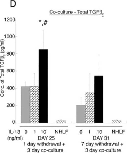 ELISA for active and total TGF-beta 2 in the media (A, B). At day 22, the concentration of active and total TGF-beta 2 in the media of IL-13 pre-treated NHBE at 1 and 10 ng/ml is significantly higher as compared to untreated NHBE (0 ng/ml of IL-13) media; * p < 0.01. At day 22 and day 28, the concentration of active TGF-beta 2 in the IL-13 pre-treated NHBE at 10 ng/ml is elevated compared to pre-treated NHBE at 1 ng/ml; # p < 0.01. At day 28 active and total TGF-beta 2 in IL-13 pre-treated NHBE at 10 ng/ml is increased compared to untreated NHBE; * p < 0.01. (C, D) At day 25, the NHBE pre-treated with IL-13 at 10 ng/ml, has higher levels of active and total TGF-beta 2 in the media as compared to untreated and pre-treated NHBE at 1 ng/ml co-cultured with NHLF (*, # p < 0.01 compared to 0 and 1 ng/ml IL-13 pre-treated NHBE co-cultured with NHLF, respectively). At day 31, there is no significant difference in the levels of active and total TGF-beta 2 between treatment conditions. NHLF represents levels of active and total TGF-beta 2 in media of fibroblasts in a collagen gel without NHBE co-culture. All experiments were performed using 3 donors, grown in duplicate, with 3–6 wells per condition. Image collected and cropped by CiteAb from the following open publication (//respiratory-research.biomedcentral.com/articles/10.1186/1465-9921-9-27), licensed under a CC-BY license. Not internally tested by R&D Systems.