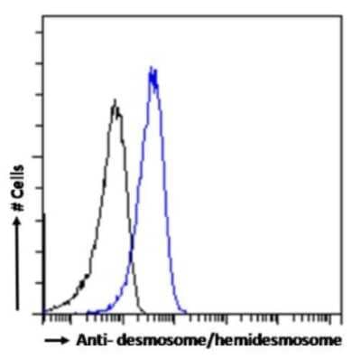 Flow Cytometry desmosome/hemidesmosome Antibody (F12) - Chimeric - Azide and BSA Free