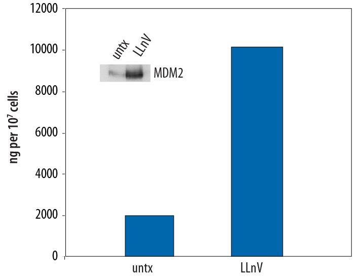 N/A MDM2/HDM2 [Biotin]