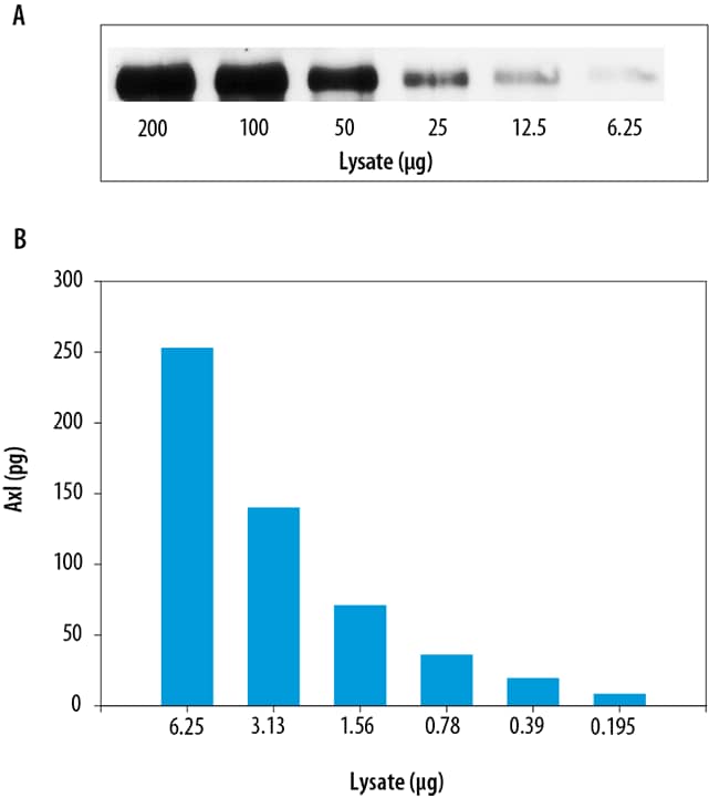 N/A Axl [Biotin]