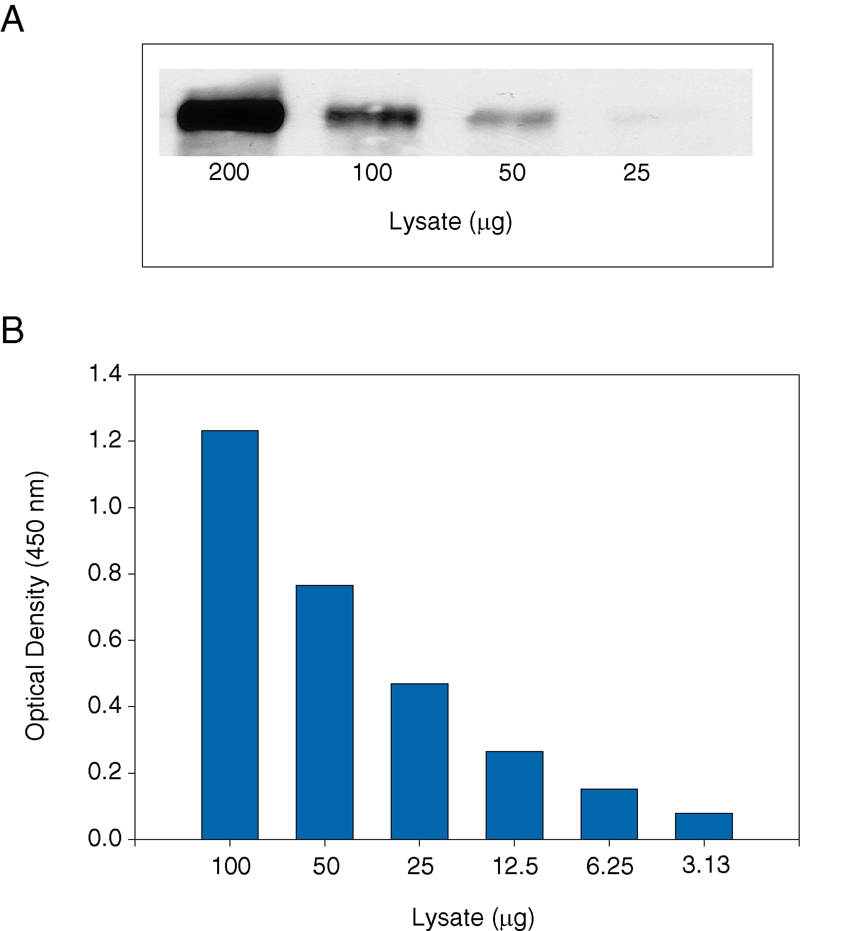 ELISA M-CSFR/CD115 [Biotin]