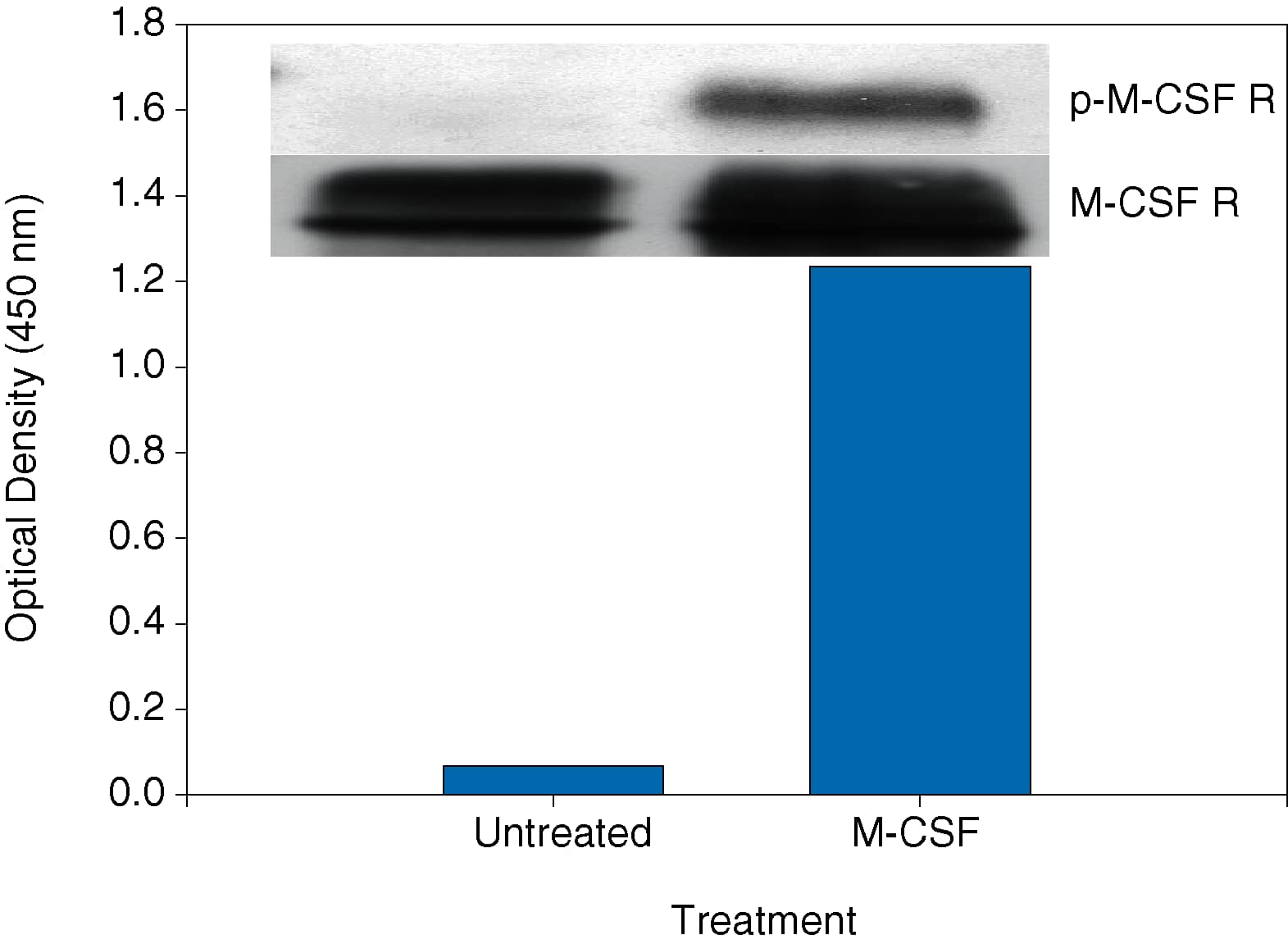 ELISA M-CSFR/CD115 [Biotin]