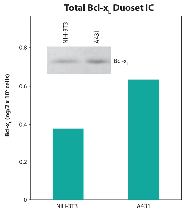 N/A Bcl-xL [Biotin]