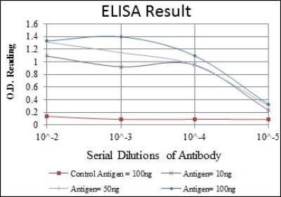 ELISA: eEF-2 Antibody (5B6) [NBP2-37620] - Red: Control Antigen (100ng); Purple: Antigen (10ng); Green: Antigen (50ng); Blue: Antigen (100ng);