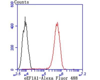 Flow Cytometry: eEF1A1 Antibody (JB44-13) [NBP2-75478] - Analysis of THP-1 cells with eEF1A1 antibody at 1/100 dilution (red) compared with an unlabelled control (cells without incubation with primary antibody; black). Alexa Fluor 488-conjugated goat anti-rabbit IgG was used as the secondary antibody.