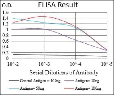 ELISA: eIF2A Antibody (3A7A8) [NBP2-37279] - Red: Control Antigen (100ng); Purple: Antigen (10ng); Green: Antigen (50ng); Blue: Antigen (100ng);