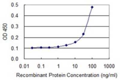 Sandwich ELISA: eIF5A Antibody (8C1) [H00001984-M01] - Detection limit for recombinant GST tagged EIF5A is 3 ng/ml as a capture antibody.