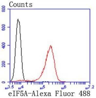 Flow Cytometry: eIF5A Antibody (SC60-09) [NBP2-67591] - Analysis of Jurkat cells with eIF5A antibody at 1/50 dilution (red) compared with an unlabelled control (cells without incubation with primary antibody; black). Alexa Fluor 488-conjugated goat anti rabbit IgG was used as the secondary antibody.