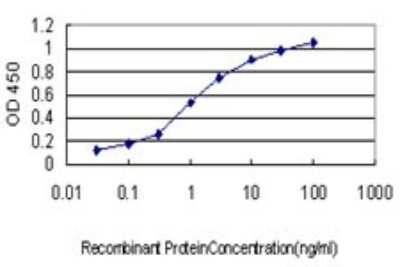 Sandwich ELISA: eIF5A2 Antibody (1E7) [H00056648-M01] - Detection limit for recombinant GST tagged EIF5A2 is approximately 0.1ng/ml as a capture antibody.