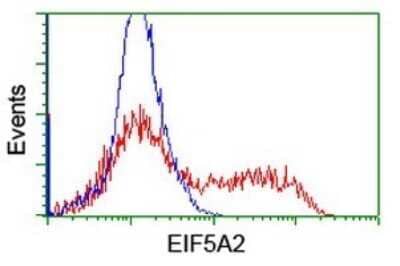 Flow Cytometry: eIF5A2 Antibody (OTI6G7) [NBP2-45697] - Analysis of HEK293T cells transfected with either overexpress plasmid(Red) or empty vector control plasmid(Blue) were immunostained by eIF5A2 antibody.