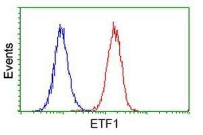 Flow Cytometry: eRF1 Antibody (2E3) [NBP2-00740] - Analysis of Hela cells, using anti-eRF1 antibody, (Red), compared to a nonspecific negative control antibody (Blue).