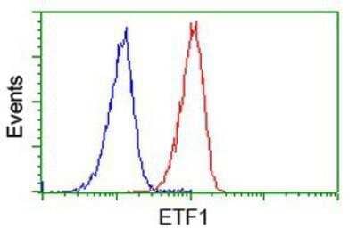 Flow Cytometry: eRF1 Antibody (2E3) [NBP2-00740] - Analysis of Jurkat cells, using anti-eRF1 antibody, (Red), compared to a nonspecific negative control antibody (Blue).