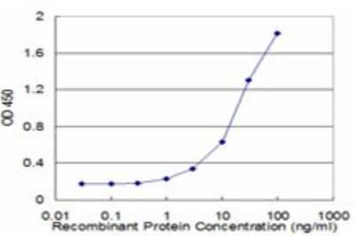 Sandwich ELISA: eRF1 Antibody (2H4) [H00002107-M02] - Detection limit for recombinant GST tagged ETF1 is approximately 1ng/ml as a capture antibody.