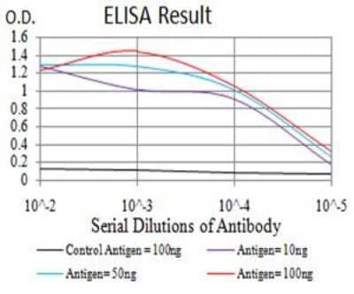 ELISA: eRF1 Antibody (4F9H12) - BSA Free [NBP2-52552] - Black line: Control Antigen (100 ng);Purple line: Antigen (10ng); Blue line: Antigen (50 ng); Red line:Antigen (100 ng).