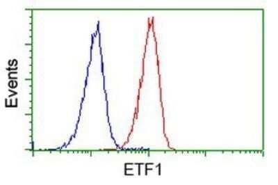 Flow Cytometry: eRF1 Antibody (OTI2E3) - Azide and BSA Free [NBP2-70692] - Analysis of Jurkat cells, using anti-eRF1 antibody, (Red), compared to a nonspecific negative control antibody (Blue).