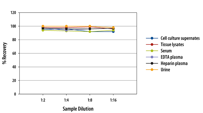 N/A Adiponectin/Acrp30 [HRP]