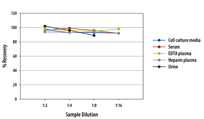 N/A B7-H3/CD276 [HRP]