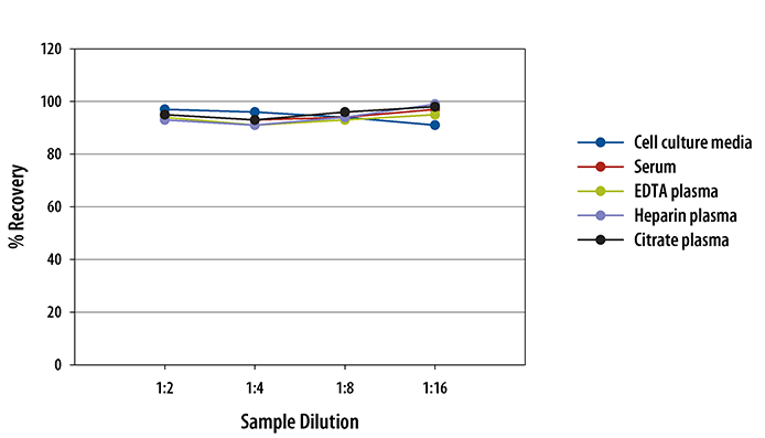 N/A CCL4/MIP-1 beta [HRP]