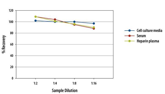N/A CD163 [HRP]