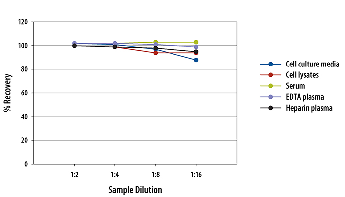 N/A COMP/Thrombospondin-5 [HRP]
