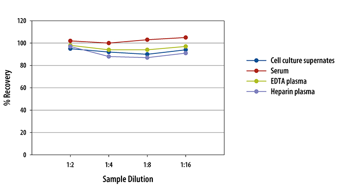 N/A CXCL3/GRO gamma/CINC-2/DCIP-1 [HRP]