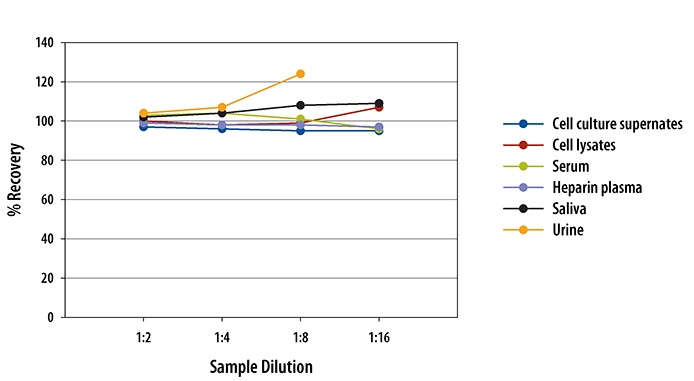 N/A Cathepsin B [HRP]