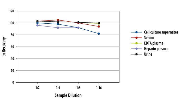 N/A Complement Factor D/Adipsin [HRP]
