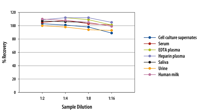 N/A Cystatin B/Stefin B [HRP]