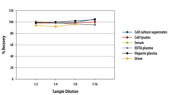 N/A Endoglin/CD105 [HRP]