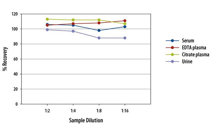 N/A FGF basic/FGF2/bFGF [HRP]