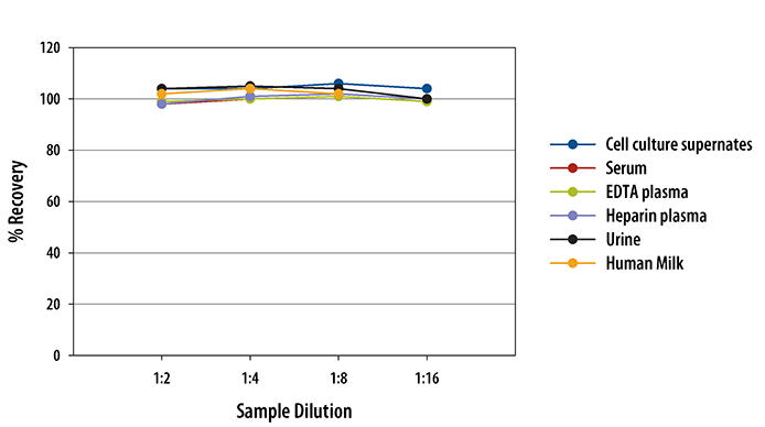 N/A Follistatin-related Gene Protein/FLRG/Fstl3 [HRP]