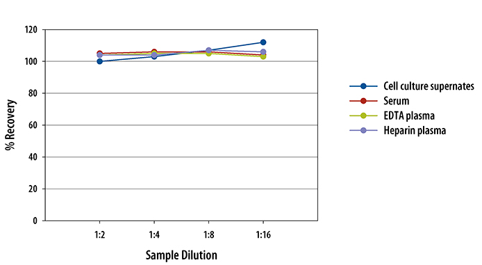 N/A Fibroblast Activation Protein alpha/FAP [HRP]