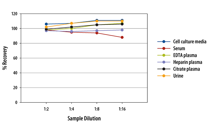 N/A Thrombomodulin/BDCA-3 [HRP]
