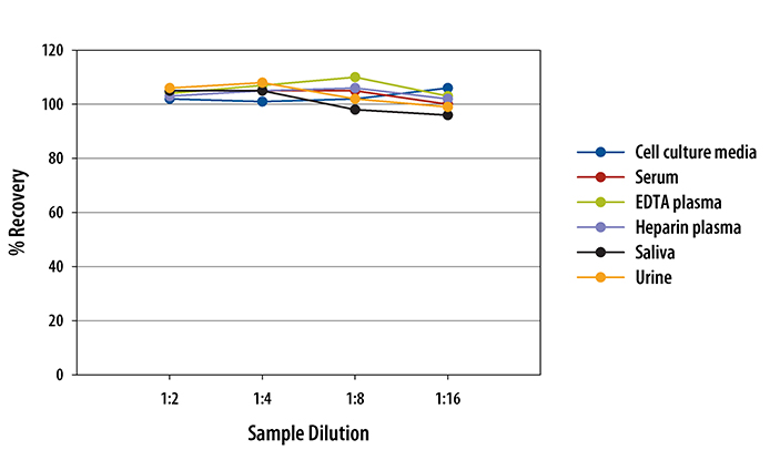 N/A Uteroglobin/SCGB1A1 [HRP]